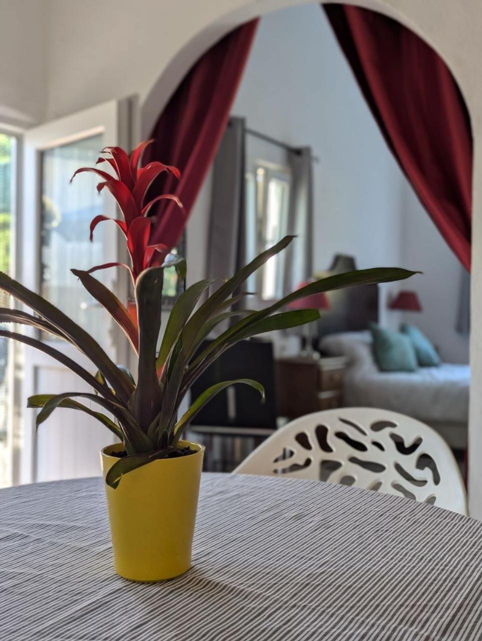 Casa Curral Do Porco Villa Tabua  Ngoại thất bức ảnh